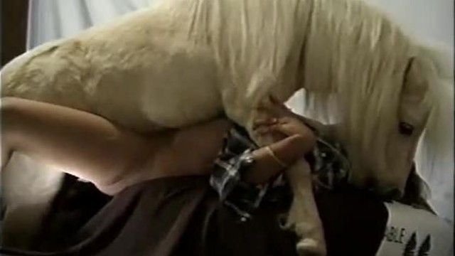 Жеребец пони трахает девушку с верху->