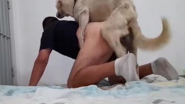 Лесби порно секс